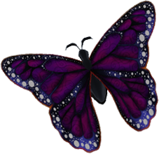 Purple Butterfly!