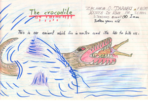 Disegno Coccodrillo, Zacharia, 8 anni
