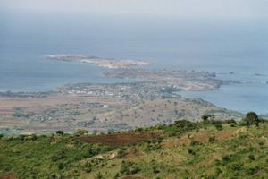 Peninsula Nyandiwa