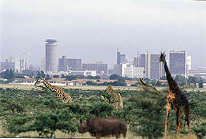 Nairobi: view from park