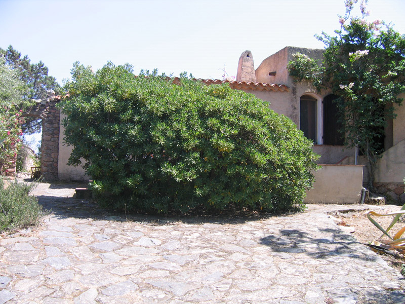 entrata