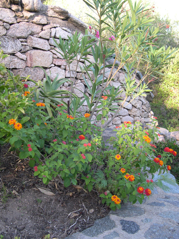 giardino