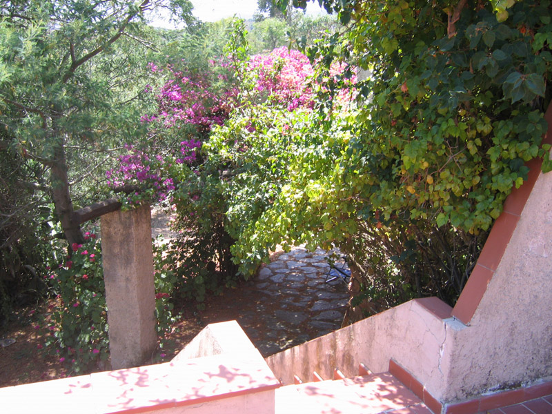 scala est