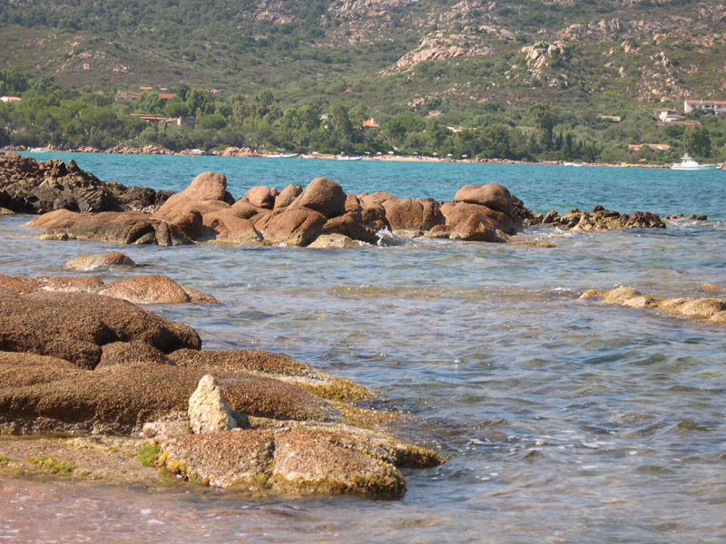 scogli