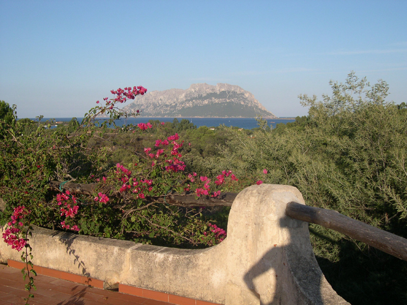 terrazza-tetto