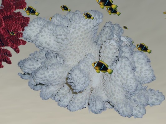 WhiteCoral w/Tropical fish Aqua emitter on/off