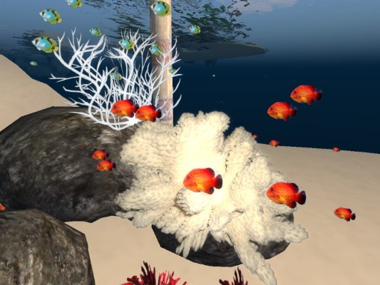 2 White Corals with emitter fish