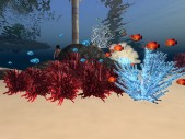 Corals & fish collection 1