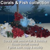 Corals & fish collection 1