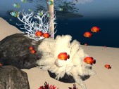2 White Corals with emitter fish