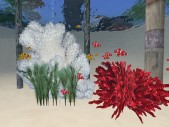 White and red Corals with moving plants