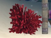 Red Coral w/bubbles emitter
