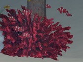 RedCoral w/Tropical fish Red emitter 